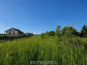 Prodej pozemku pro bydlení, Vranová, 10000 m2