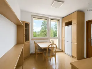 Pronájem bytu 3+1, Brno, Záhřebská, 75 m2