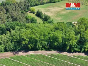 Prodej lesa, Lysá nad Labem, 5227 m2