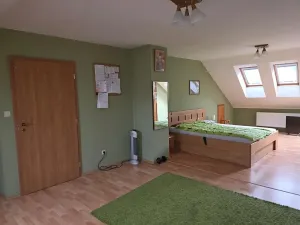 Prodej rodinného domu, Brno, Krejčího, 122 m2