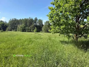 Prodej pozemku pro bydlení, Františkovy Lázně, 3240 m2
