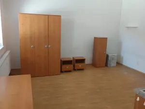 Pronájem bytu 1+kk, Brno, Francouzská, 25 m2