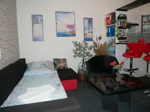 Pronájem bytu 1+kk, Brno, Malešovská, 30 m2