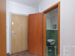 Pronájem bytu 1+kk, Praha - Holešovice, U měšťanského pivovaru, 37 m2