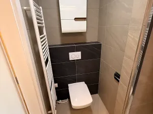 Pronájem bytu 1+kk, Brno, Přadlácká, 25 m2