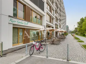 Pronájem bytu 2+kk, Praha - Karlín, Breitfeldova, 40 m2