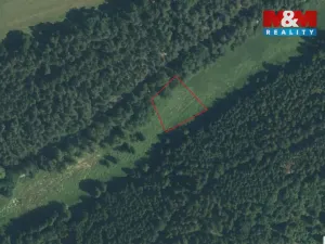 Prodej louky, Bor - Skviřín, 1522 m2