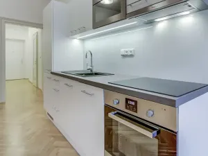 Pronájem bytu 1+kk, Praha, Myslíkova, 63 m2