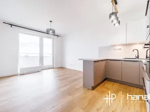 Pronájem bytu 1+kk, Olomouc, Aloise Rašína, 35 m2