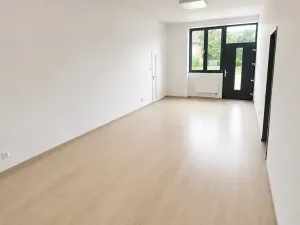 Pronájem obchodního prostoru, Syrovice, 29 m2