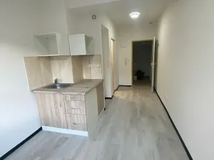 Pronájem bytu 1+kk, Praha - Hlubočepy, Na Zlíchově, 23 m2