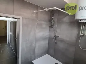 Pronájem obchodního prostoru, Zlín, Šedesátá, 100 m2