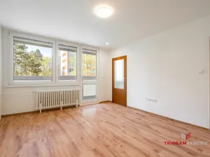 Pronájem bytu 1+kk, Hradec Králové - Slezské Předměstí, 35 m2