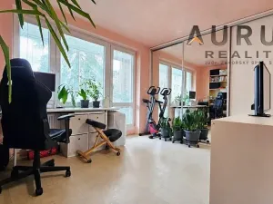 Prodej bytu 3+kk, Praha - Břevnov, Bělohorská, 73 m2