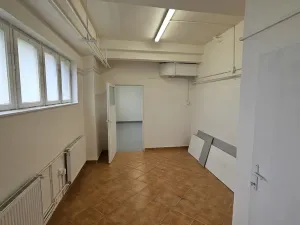 Pronájem obchodního prostoru, Příbram - Příbram VIII, Budovatelů, 220 m2