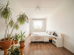 Prodej bytu 3+1, Plzeň, Kralovická, 68 m2