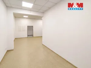 Pronájem kanceláře, Praha - Bubeneč, Podbabská, 33 m2