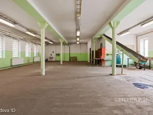 Pronájem skladu, Děčín, Rudolfova, 225 m2