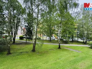 Pronájem bytu 2+1, České Budějovice - České Budějovice 3, Plzeňská, 50 m2
