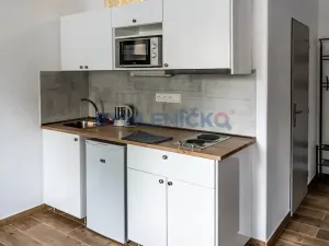 Pronájem bytu 1+kk, České Budějovice, Nová, 30 m2