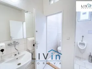 Pronájem kanceláře, Olomouc, Karolíny Světlé, 50 m2