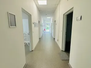 Pronájem výrobních prostor, Chodová Planá, Kyjovská, 2497 m2