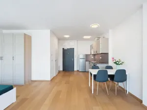 Prodej bytu 1+kk, Praha - Holešovice, Tusarova, 41 m2
