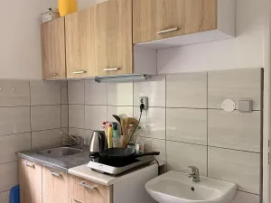 Prodej obchodního prostoru, Děčín, Krásnostudenecká, 420 m2