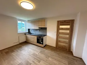 Pronájem bytu 2+1, Děčín, Škroupova, 67 m2