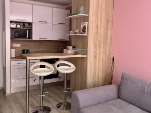 Pronájem bytu 1+kk, Karviná, tř. 17. listopadu, 32 m2