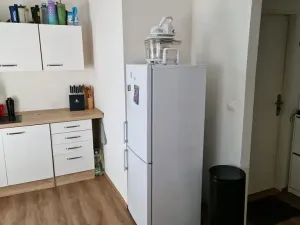 Prodej bytu 1+1, Olomouc, Erenburgova, 40 m2