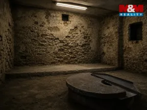 Prodej rodinného domu, Zruč nad Sázavou, 1. máje, 250 m2