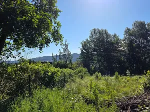 Prodej pozemku pro bydlení, Pstruží, 1145 m2