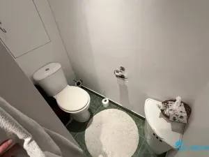 Pronájem bytu 1+1, Frýdek-Místek, Ostravská, 32 m2