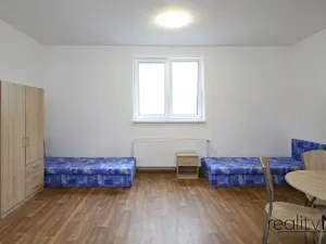 Pronájem ubytování, Dobrovice, 500 m2