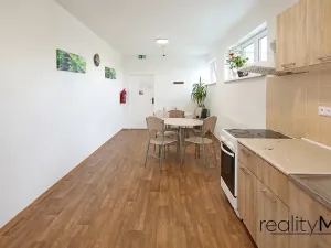 Prodej ubytování, Dobrovice, 500 m2