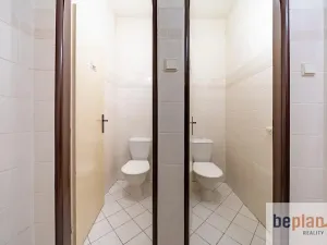 Prodej vícegeneračního domu, Merklín, 279 m2