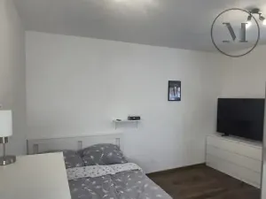 Pronájem bytu 1+kk, České Budějovice, Reinerova, 29 m2