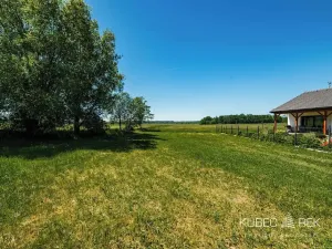 Prodej pozemku pro bydlení, Nová Ves u Chýnova, 740 m2