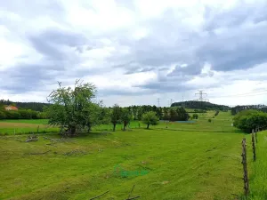 Prodej pozemku pro bydlení, Nečín, 21422 m2