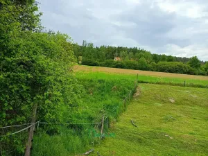 Prodej pozemku pro bydlení, Nečín, 21422 m2