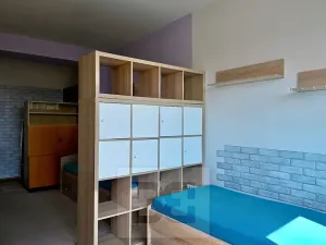 Pronájem bytu 1+1, Brno, Křídlovická, 42 m2