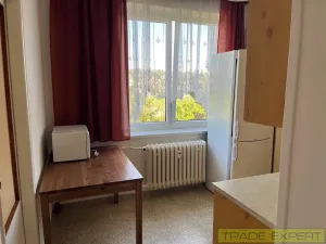 Pronájem bytu 2+1, Praha - Smíchov, Fráni Šrámka, 59 m2