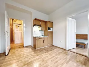 Pronájem bytu 2+kk, Praha - Vysočany, Prouzova, 50 m2