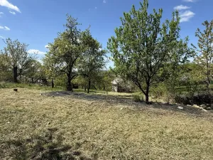 Prodej zahrady, Slavkov u Brna, 539 m2