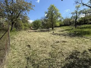 Prodej zahrady, Slavkov u Brna, 539 m2