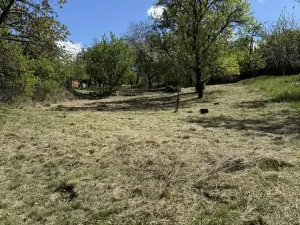 Prodej zahrady, Slavkov u Brna, 539 m2