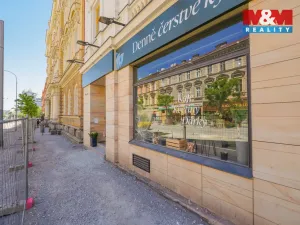 Pronájem restaurace, Plzeň - Jižní Předměstí, Americká, 145 m2