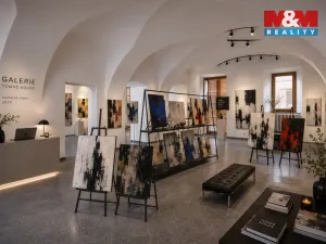 Pronájem obchodního prostoru, České Budějovice - České Budějovice 1, Hradební, 142 m2