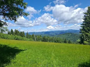 Prodej chaty, Nový Hrozenkov, 40 m2